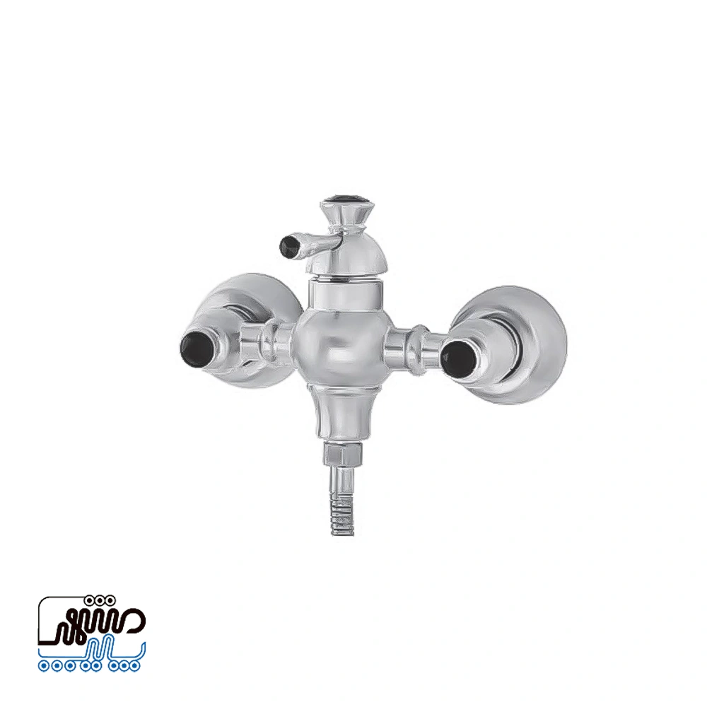 Shizar toilet faucet Elizeh model - Mashhad Pipe شیر توالت شیذر مدل الیزه - استیل مات