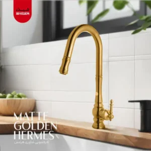 shizer-valves-hermes